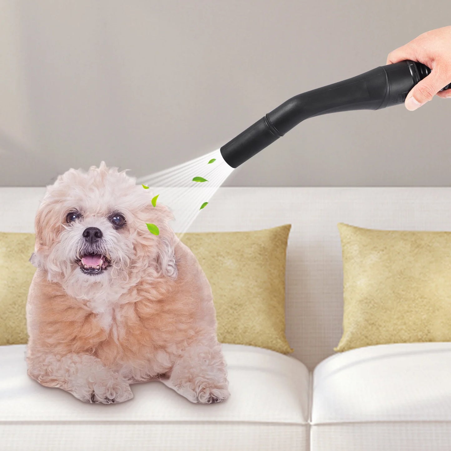 SucceBuy Wet Dry Vac 3 in 1 Portable Vacuum Blower